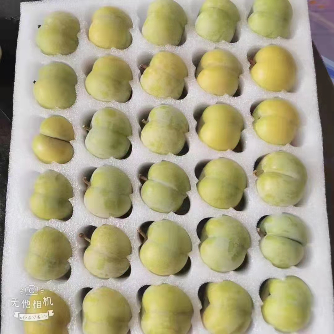 珍珠棉水果包装